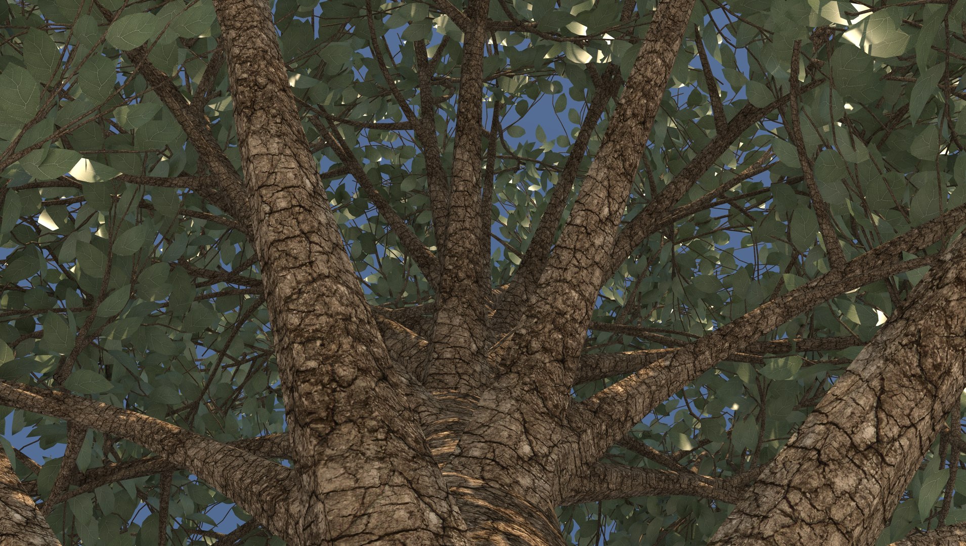3D season carolina poplar tree https://p.turbosquid.com/ts-thumb/0B/4AIZ0l/JXuxKTby/7/jpg/1609939690/1920x1080/fit_q87/d0b91acf249375eff388b1b2954a2ae0763b6beb/7.jpg