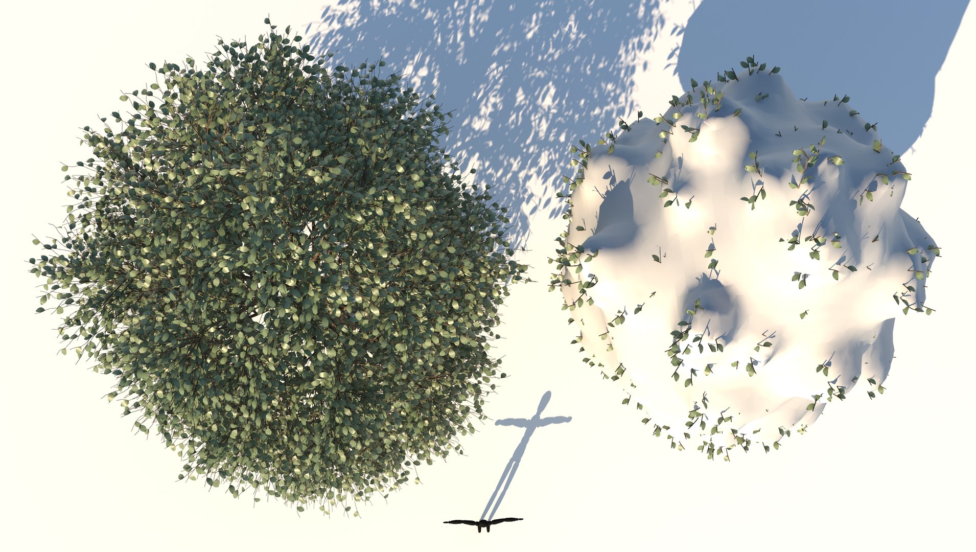 3D season carolina poplar tree https://p.turbosquid.com/ts-thumb/0B/4AIZ0l/VczoRX0M/4/jpg/1609939690/1920x1080/fit_q87/abc1002c874fbf9056191318a067430df398133a/4.jpg