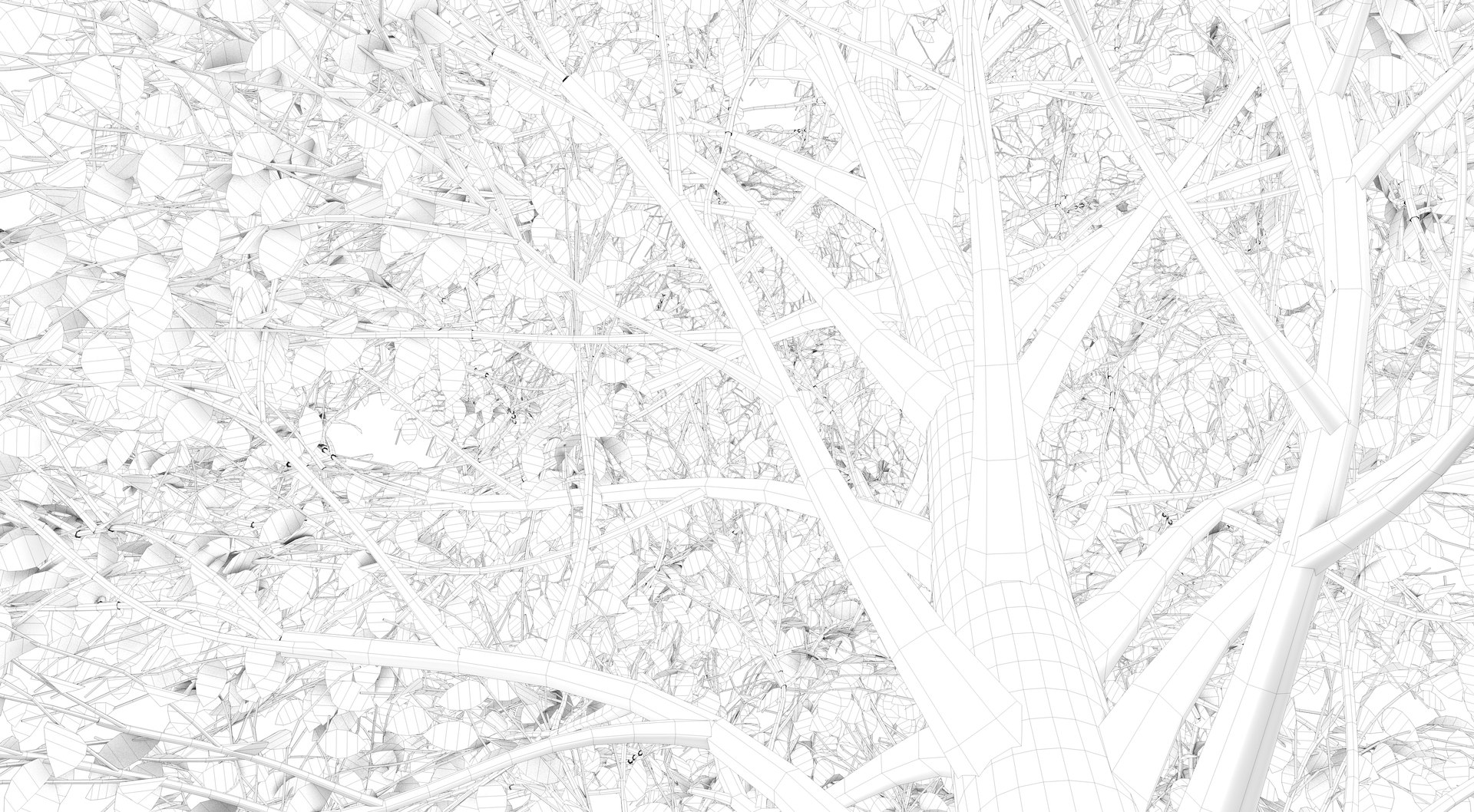 3D season carolina poplar tree https://p.turbosquid.com/ts-thumb/0B/4AIZ0l/bzmDtYkc/render0006/png/1609941284/1920x1080/fit_q87/dc9479aa03e96efb2b0878c5b5979a1f63a92b46/render0006.jpg