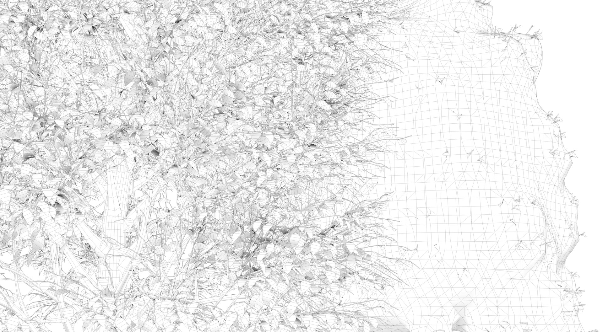 3D season carolina poplar tree https://p.turbosquid.com/ts-thumb/0B/4AIZ0l/c0O0Ke5B/render0004/png/1609941284/1920x1080/fit_q87/c06a44473ab0e1126e26f6912dad199f95a43295/render0004.jpg