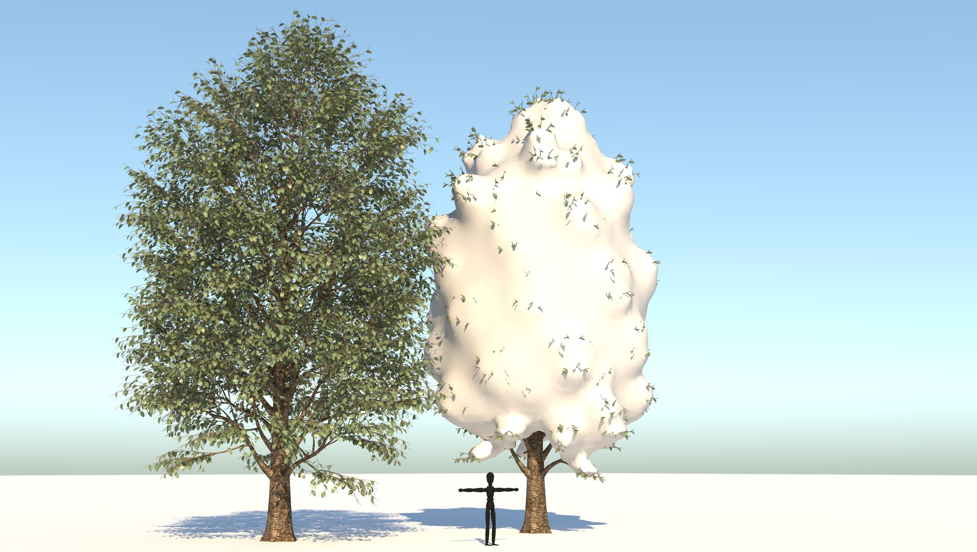 3D season carolina poplar tree https://p.turbosquid.com/ts-thumb/0B/4AIZ0l/cBxI7iaa/3/jpg/1609939690/1920x1080/fit_q87/e321b9c11b78d0377a3b65fc0cc09ef3ca9c2767/3.jpg