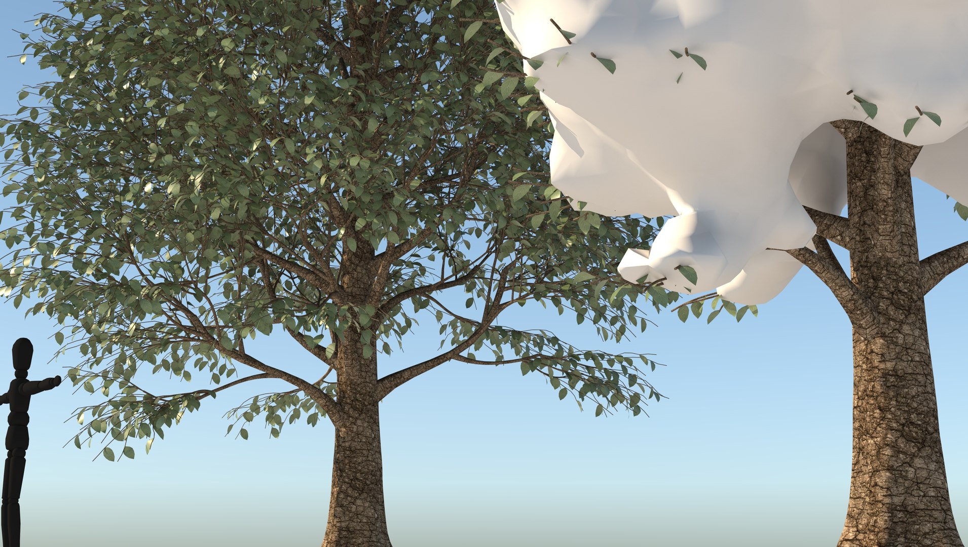 3D season carolina poplar tree https://p.turbosquid.com/ts-thumb/0B/4AIZ0l/j74uyaU5/9/jpg/1609939690/1920x1080/fit_q87/e096ec04b948e55093f2547b8a2fb493fddd047d/9.jpg