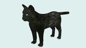 3D black cat rigged ready model