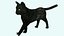 Black Cat Rigged and Low Poly Game Ready
