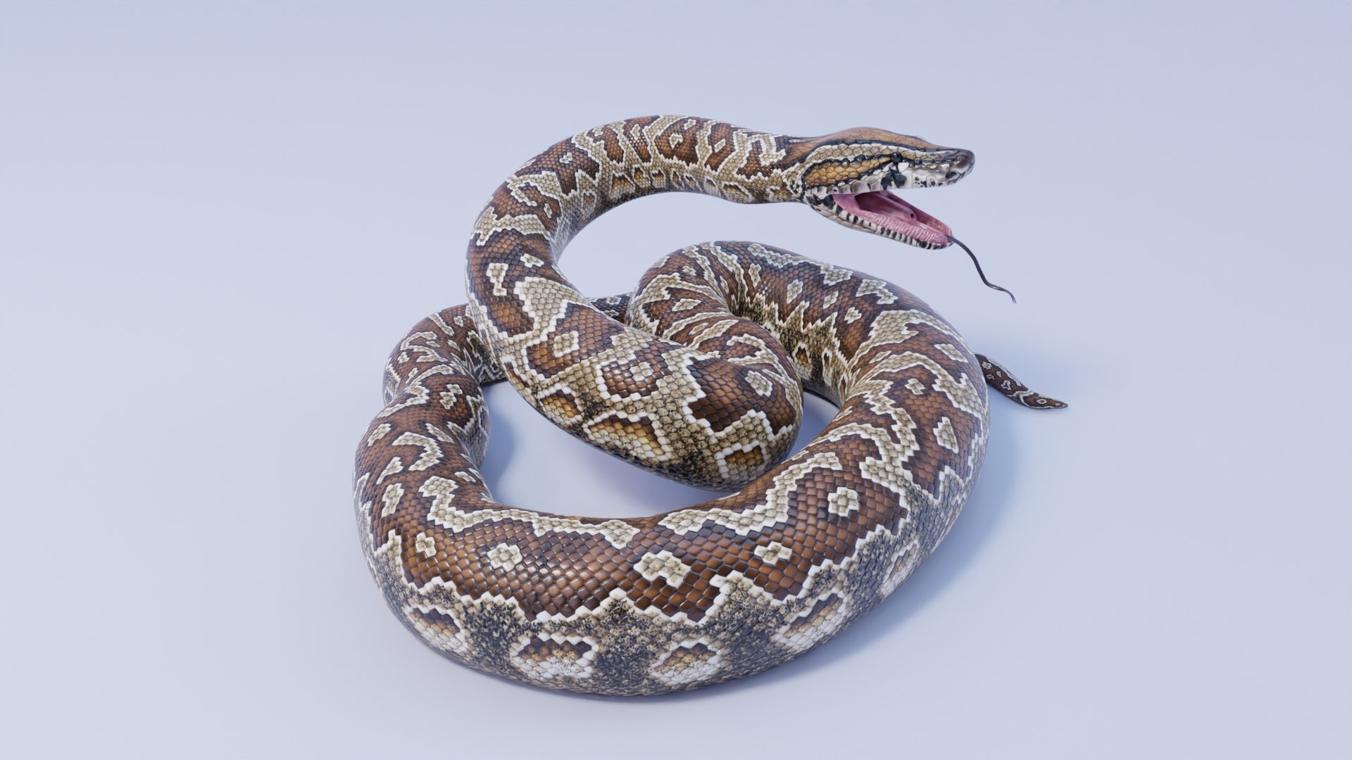Southern African Rock Python - Rigged 3D - TurboSquid 1842289