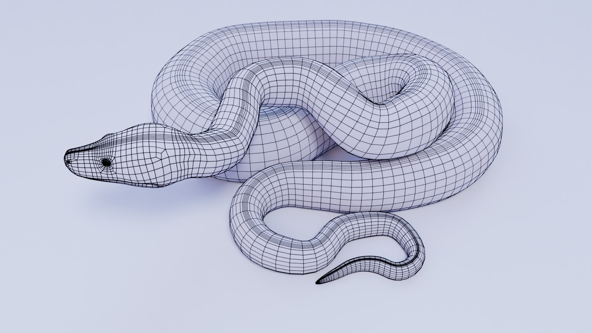 Southern African Rock Python - Rigged 3D - TurboSquid 1842289