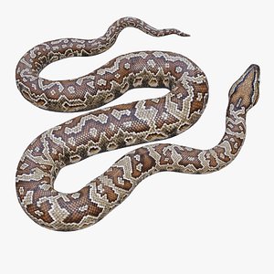 Southern African Rock Python - Rigged 3D