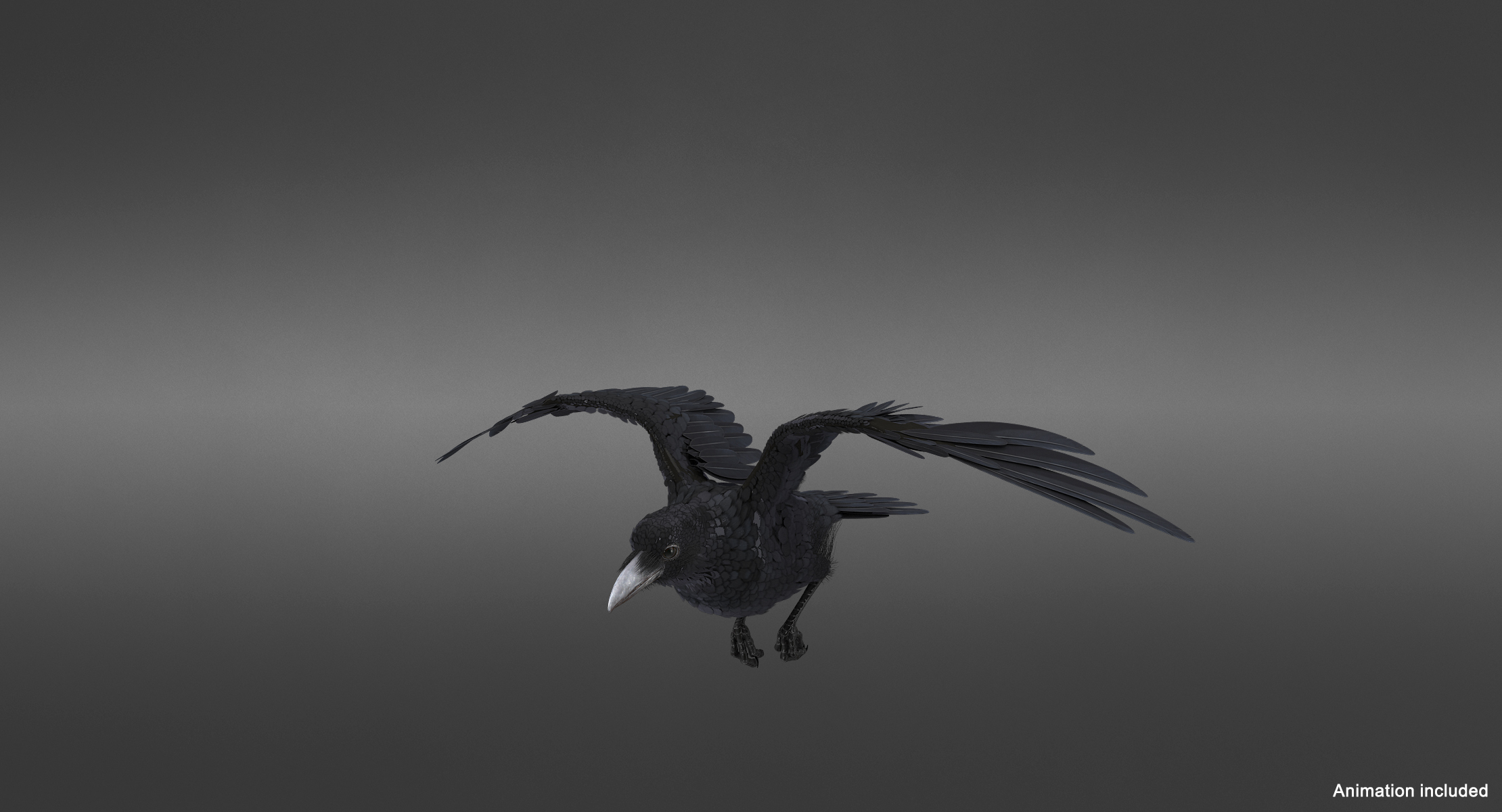 Raven flying rigged flight animation model - TurboSquid 1428166