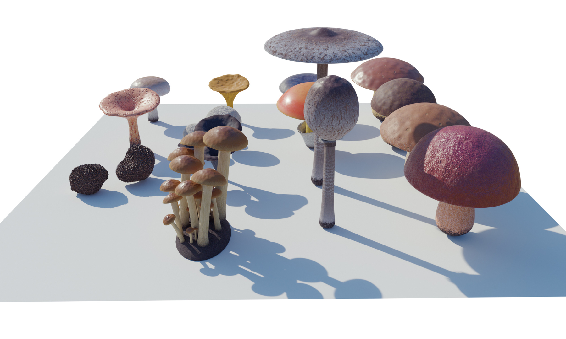 3D Model Mushrooms Collection Procedural PBR - TurboSquid 1816740