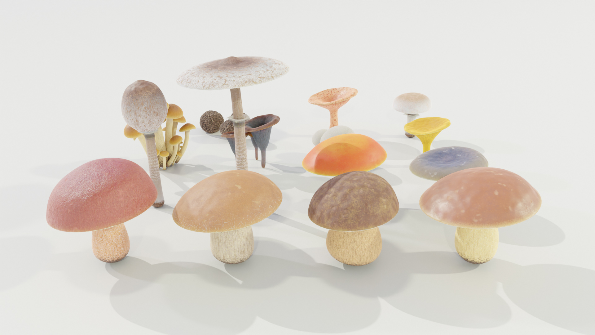 3D model Mushrooms Collection Procedural PBR https://p.turbosquid.com/ts-thumb/0B/XUi8cl/7w/turn/jpg/1703667515/1920x1080/turn_fit_q99/c1d6ab62bc4d6ad1fc0d20359c854fb6bc9f738c/turn-1.jpg