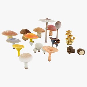 3D model Mushrooms Collection Procedural PBR