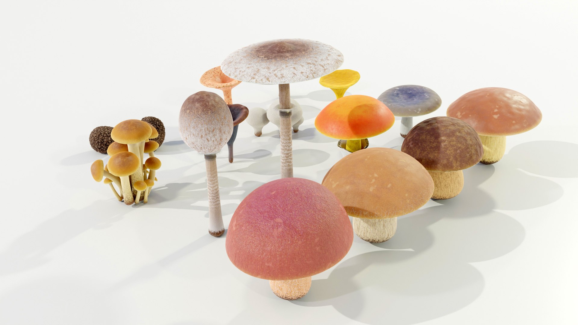 3D model Mushrooms Collection Procedural PBR https://p.turbosquid.com/ts-thumb/0B/XUi8cl/J7/z0003/jpg/1703668538/1920x1080/fit_q87/0a77c0ec8e24bee6fd38515816ef302ac7ddd465/z0003.jpg