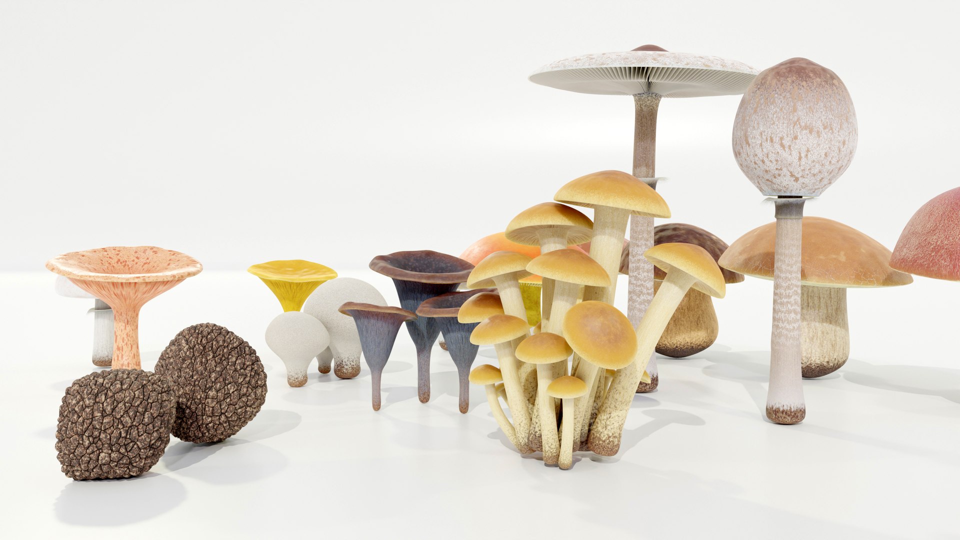 3D model Mushrooms Collection Procedural PBR https://p.turbosquid.com/ts-thumb/0B/XUi8cl/ak/z0007/jpg/1703668536/1920x1080/fit_q87/32b170517d781673a1e21122b773e592b9f96b2b/z0007.jpg