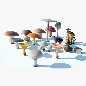3D model Mushrooms Collection Procedural PBR