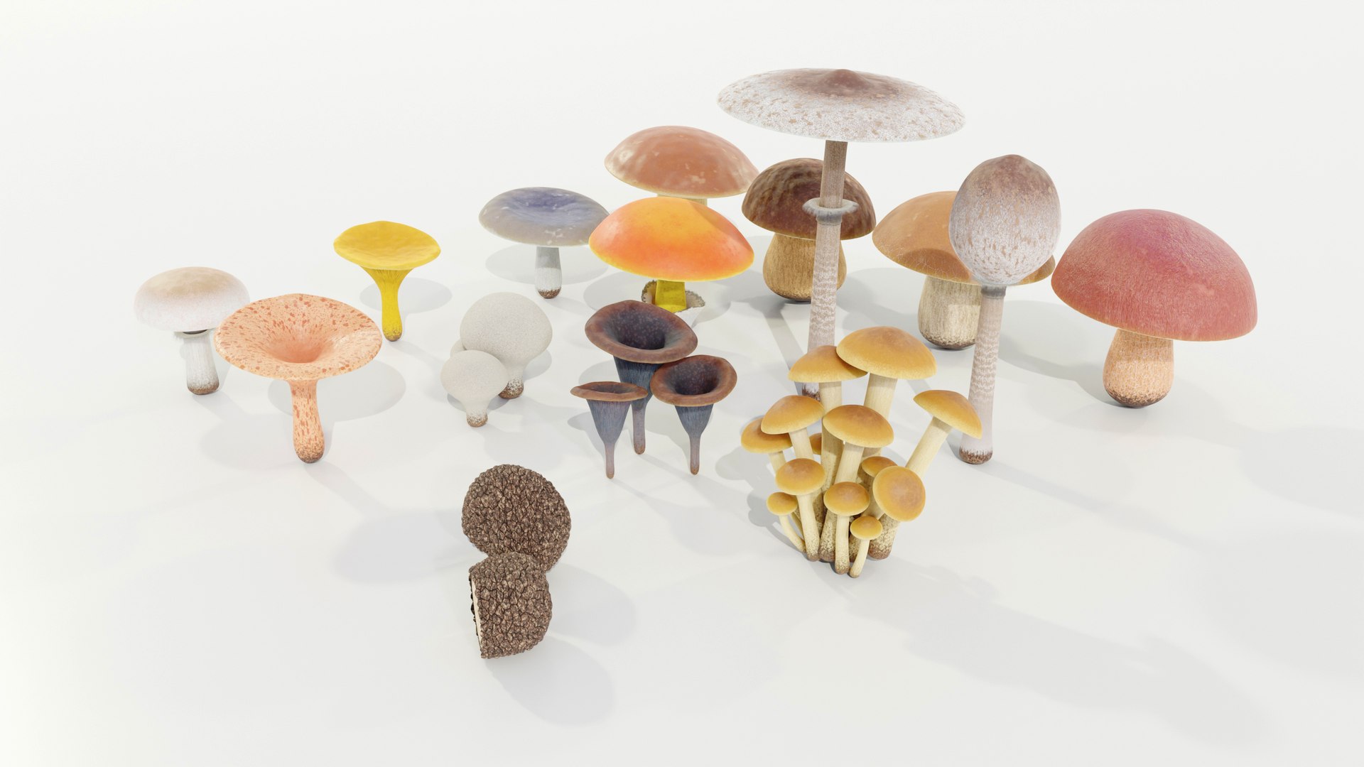 3D model Mushrooms Collection Procedural PBR https://p.turbosquid.com/ts-thumb/0B/XUi8cl/dz/z0002/jpg/1703668533/1920x1080/fit_q87/111320fa938f0a1c658dee38446d1584ba11829d/z0002.jpg