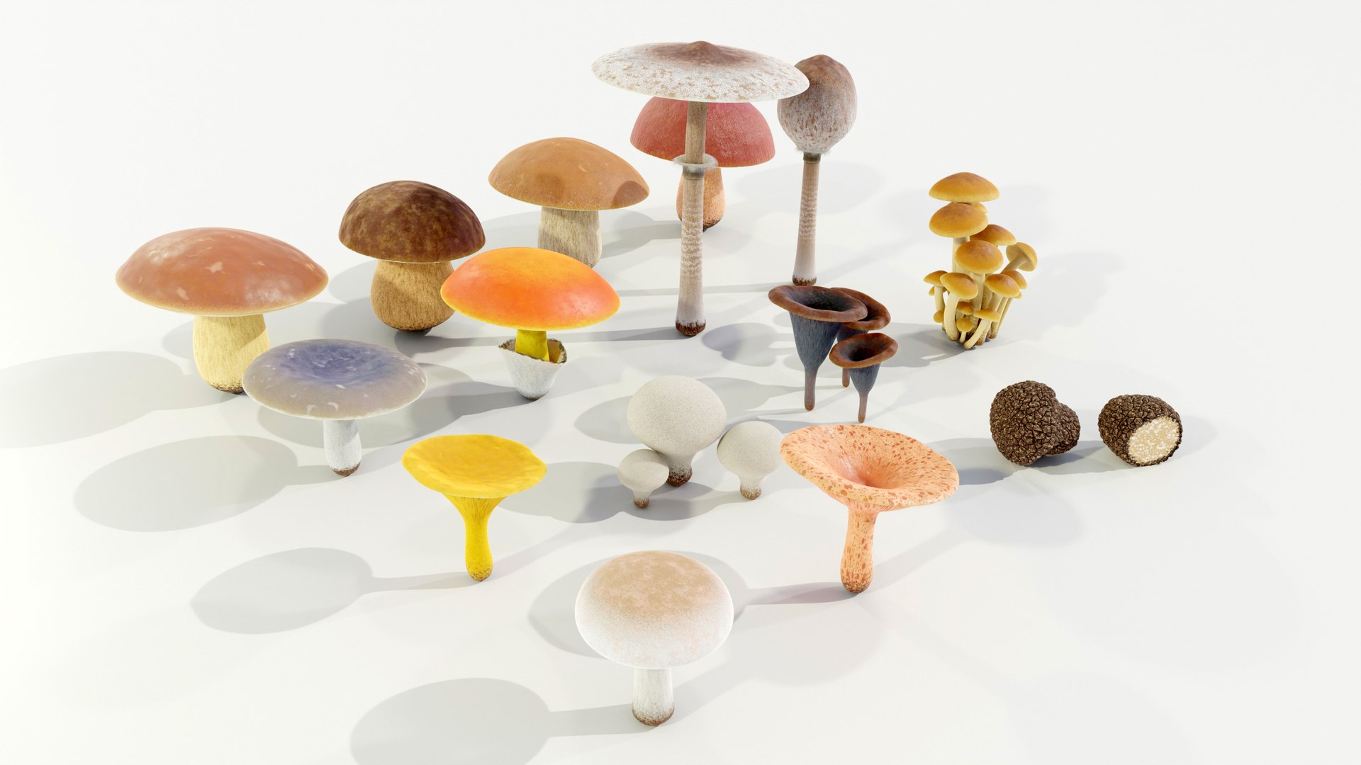 3D model Mushrooms Collection Procedural PBR https://p.turbosquid.com/ts-thumb/0B/XUi8cl/or/z0001/jpg/1703668548/1920x1080/fit_q87/18a0145379320f7a27ad6bb49c846052bec8a3f7/z0001.jpg