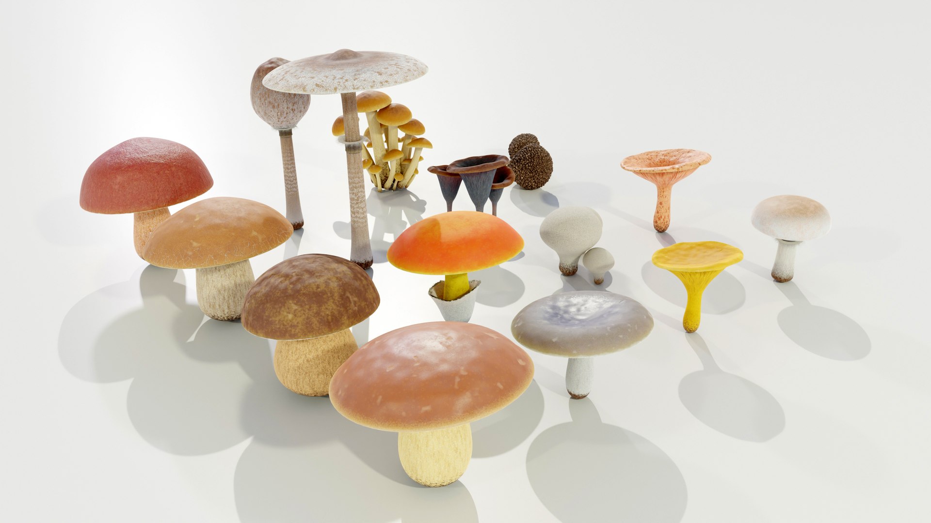 3D model Mushrooms Collection Procedural PBR https://p.turbosquid.com/ts-thumb/0B/XUi8cl/vv/z0004/jpg/1703668527/1920x1080/fit_q87/0e7b83737d723c661058864263fa194254e5acc2/z0004.jpg
