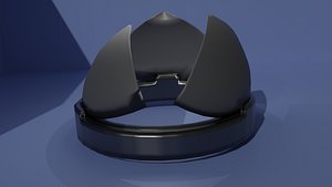 3D Heart Valve Version 2