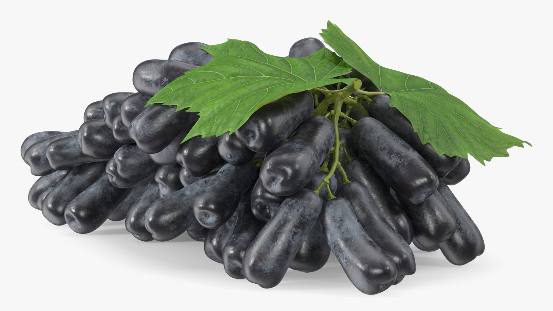 3D Lady Finger Sweet Sapphire Grape Lying https://p.turbosquid.com/ts-thumb/0B/ZjgT6M/27/ladyfingersweetsapphiregrapelyingvray3dmodel007/jpg/1710044784/1920x1080/fit_q87/942167aba2dc3b8768254686b779e41e58e64612/ladyfingersweetsapphiregrapelyingvray3dmodel007.jpg