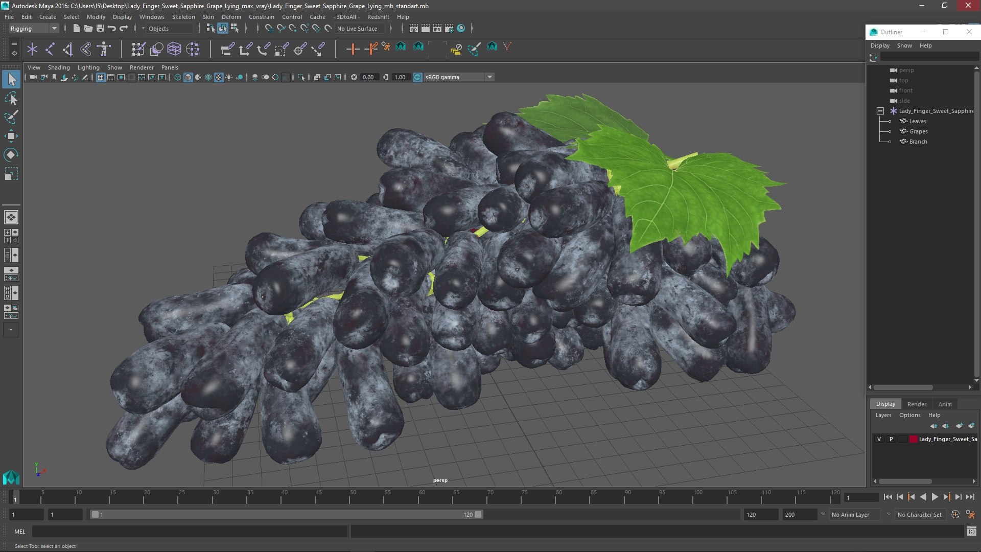 3D Lady Finger Sweet Sapphire Grape Lying https://p.turbosquid.com/ts-thumb/0B/ZjgT6M/Au/ladyfingersweetsapphiregrapelyingvray3dmodel026/jpg/1710044887/1920x1080/fit_q87/2477ac657d6b7178d78d7b437e57f213d6669464/ladyfingersweetsapphiregrapelyingvray3dmodel026.jpg
