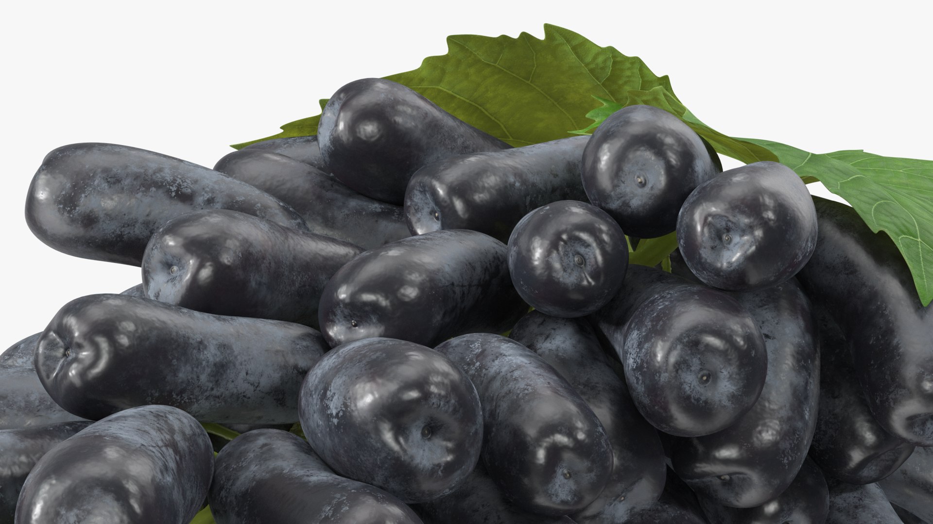 3D Lady Finger Sweet Sapphire Grape Lying https://p.turbosquid.com/ts-thumb/0B/ZjgT6M/Lp/ladyfingersweetsapphiregrapelyingvray3dmodel015/jpg/1710044827/1920x1080/fit_q87/c34b241070d7537abe044fb0656930ecf821828d/ladyfingersweetsapphiregrapelyingvray3dmodel015.jpg