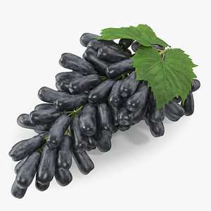 3D Lady Finger Sweet Sapphire Grape Lying