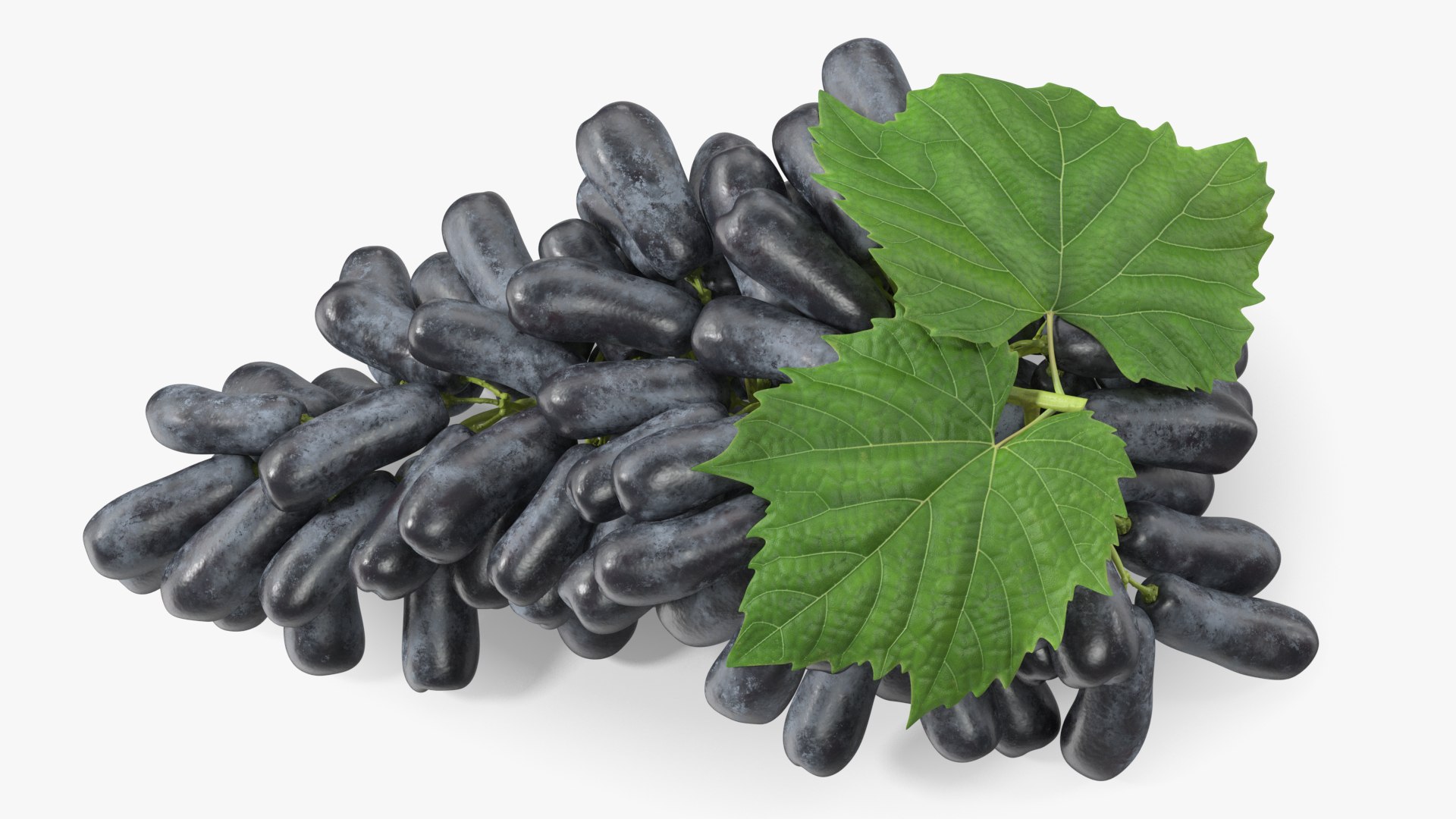 3D Lady Finger Sweet Sapphire Grape Lying https://p.turbosquid.com/ts-thumb/0B/ZjgT6M/iW/ladyfingersweetsapphiregrapelyingvray3dmodel011/jpg/1710044806/1920x1080/fit_q87/a5e707b78a22b00b905b32c46dc3223f1af0b71b/ladyfingersweetsapphiregrapelyingvray3dmodel011.jpg