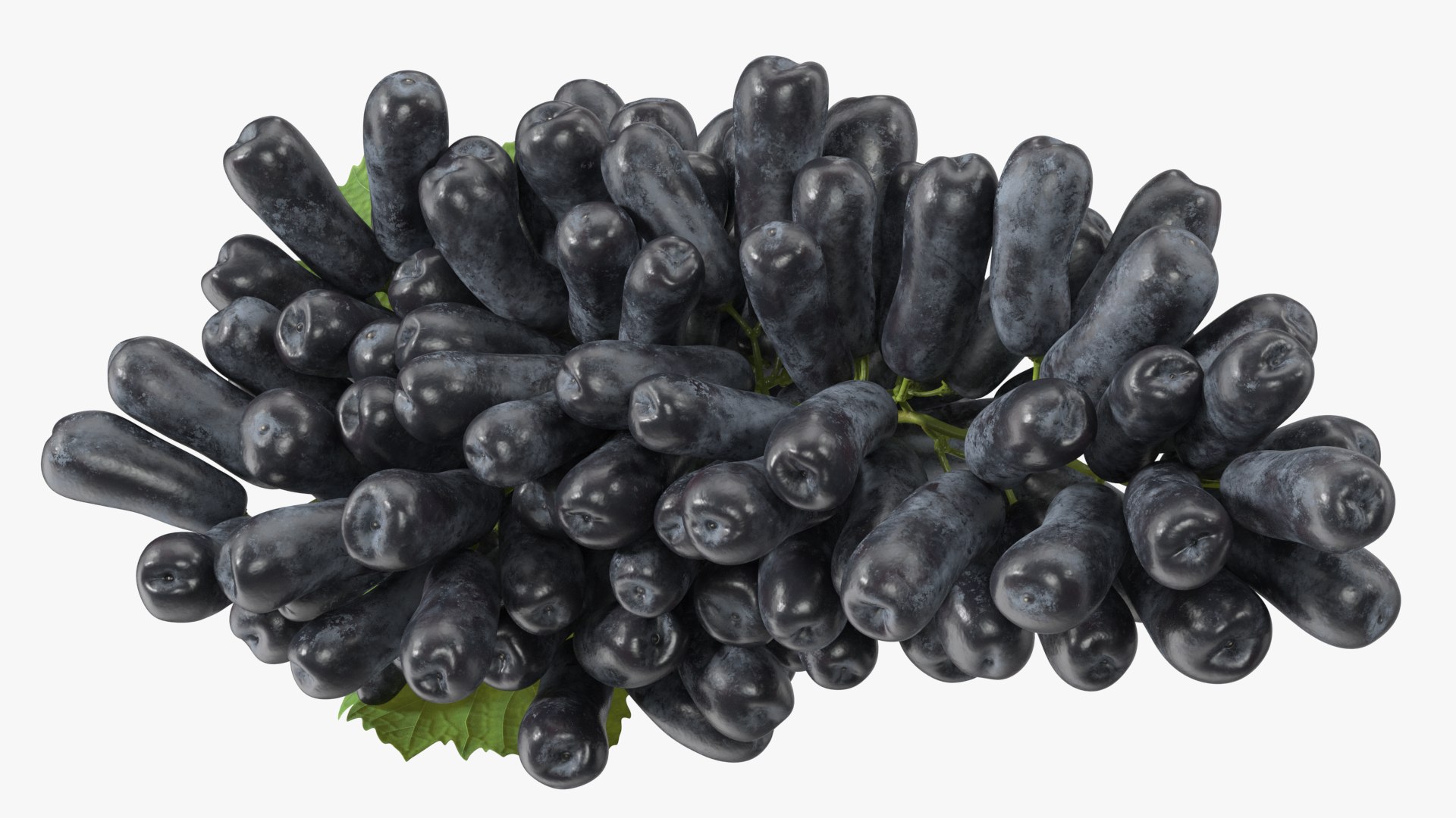 3D Lady Finger Sweet Sapphire Grape Lying https://p.turbosquid.com/ts-thumb/0B/ZjgT6M/iW/ladyfingersweetsapphiregrapelyingvray3dmodel012/jpg/1710044812/1920x1080/fit_q87/1c7cefcfd4d1f10099098ae15bcc9f539a7ff393/ladyfingersweetsapphiregrapelyingvray3dmodel012.jpg