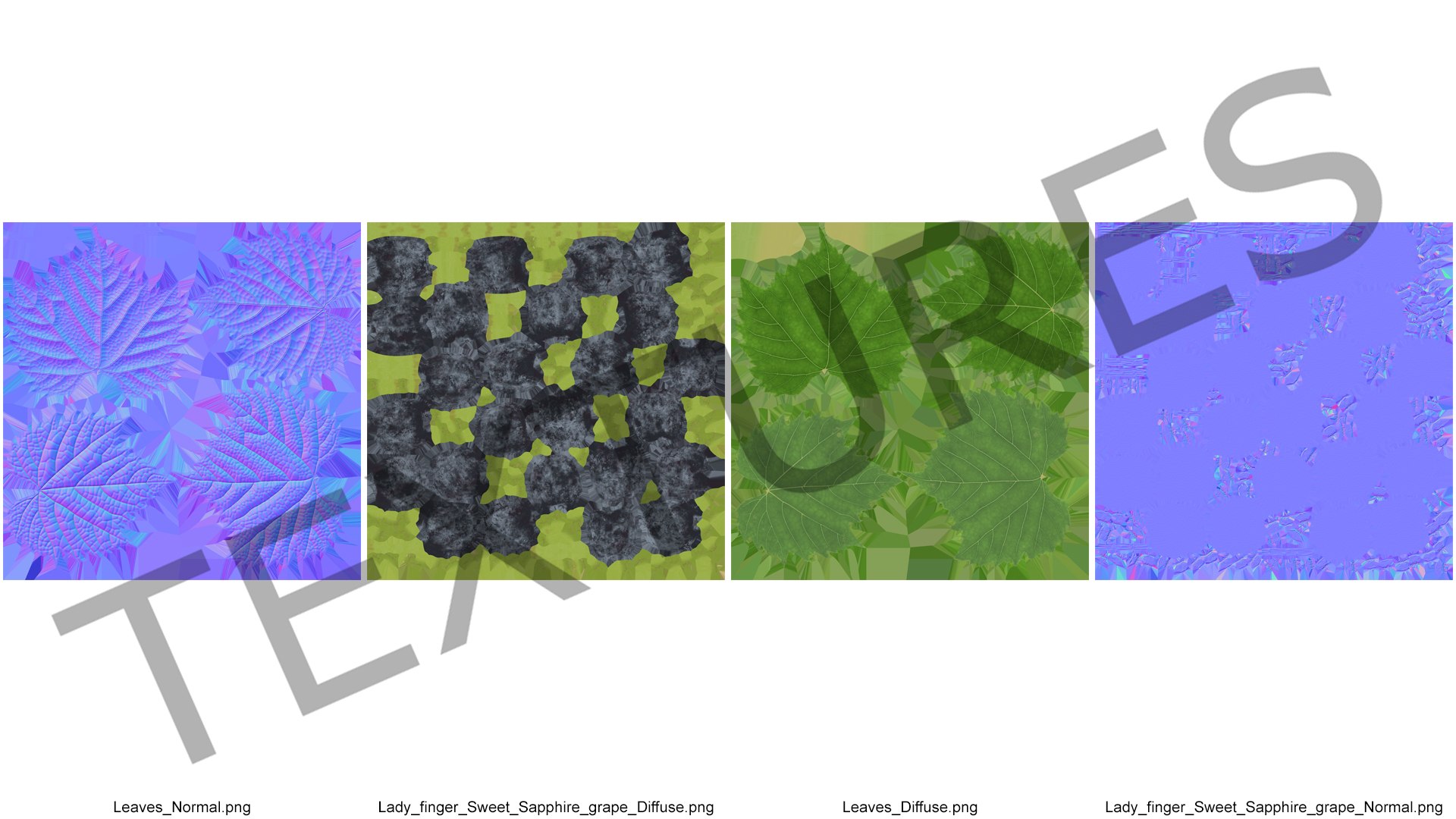 3D Lady Finger Sweet Sapphire Grape Lying https://p.turbosquid.com/ts-thumb/0B/ZjgT6M/rv/ladyfingersweetsapphiregrapelyingvray3dmodel021/jpg/1710044859/1920x1080/fit_q87/b94bf7eb0c5bfa498798a7d97fbee767045577ae/ladyfingersweetsapphiregrapelyingvray3dmodel021.jpg