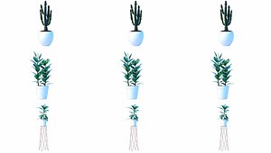 3D Plant Succulent cactus green plant C4D CR simple and clean decorative flowers