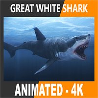 Animated Great White Shark