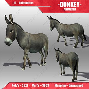 Donkey Animated