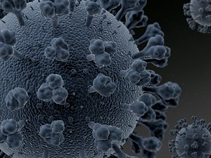 coronavirus covid 19 3D model