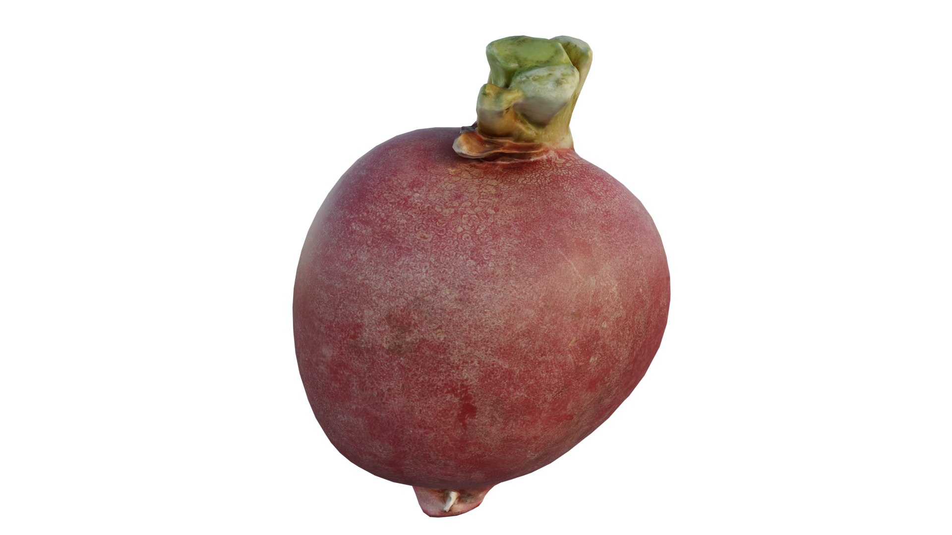 Radish Model - TurboSquid 1921981