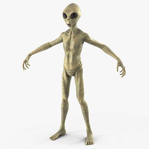 3D Humanoid Alien Creature Fur
