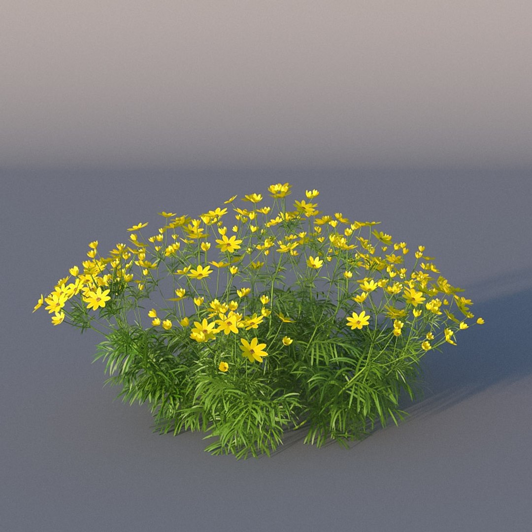 XfrogPlants Pot of Gold - Coreopsis Verticillata 3D model https://p.turbosquid.com/ts-thumb/0B/z9Ppxf/19/coreopsis_v01/jpg/1620330428/1920x1080/fit_q87/1aed1a48d6ab485d42b0bd0506d9a9b54f0d28fa/coreopsis_v01.jpg