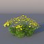 XfrogPlants Pot of Gold - Coreopsis Verticillata