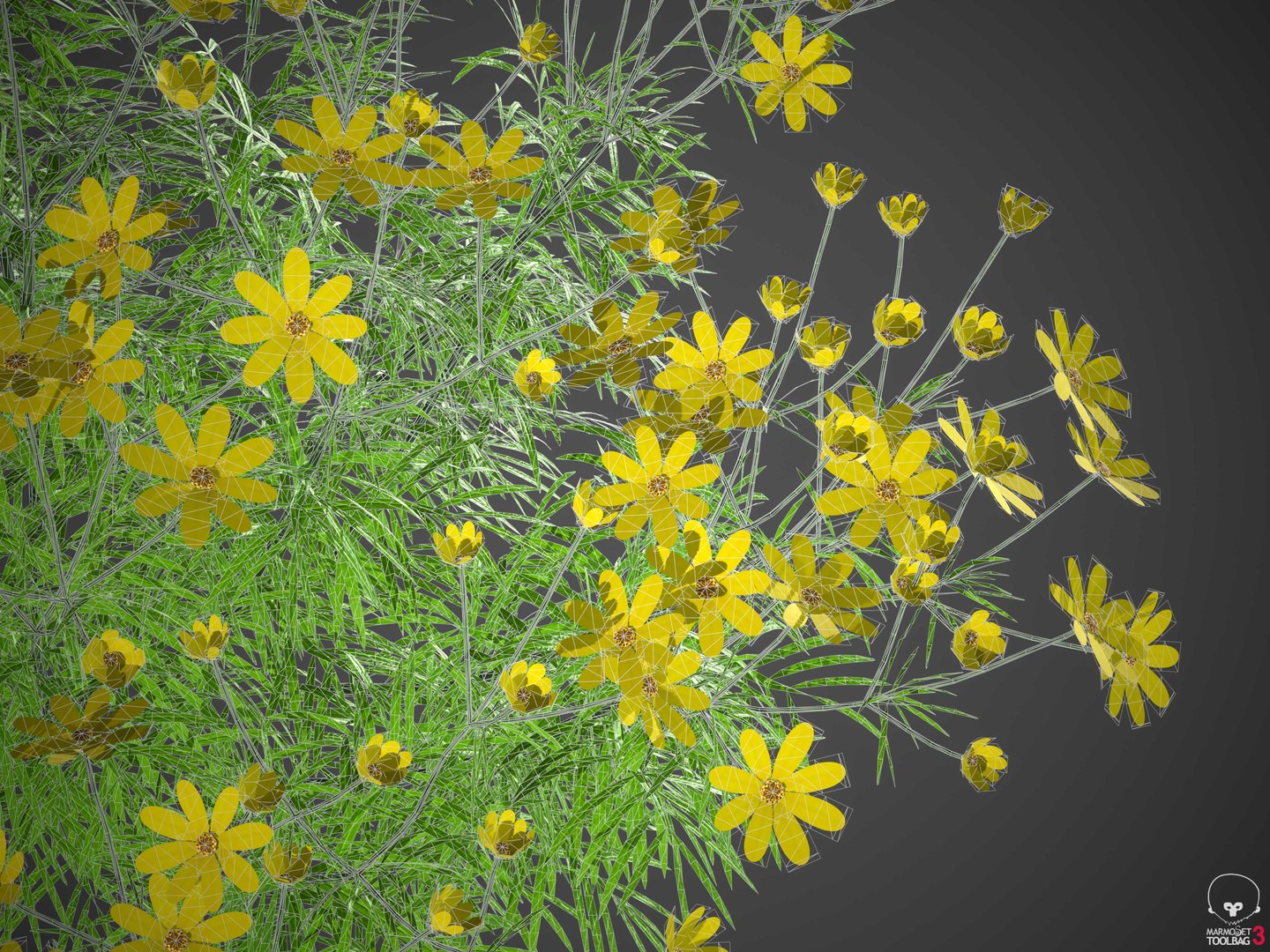 XfrogPlants Pot of Gold - Coreopsis Verticillata 3D model https://p.turbosquid.com/ts-thumb/0B/z9Ppxf/o4/wireframe1/jpg/1620330442/1920x1080/fit_q87/23a9a94cb7f74703153b94849c2aec2800d534da/wireframe1.jpg