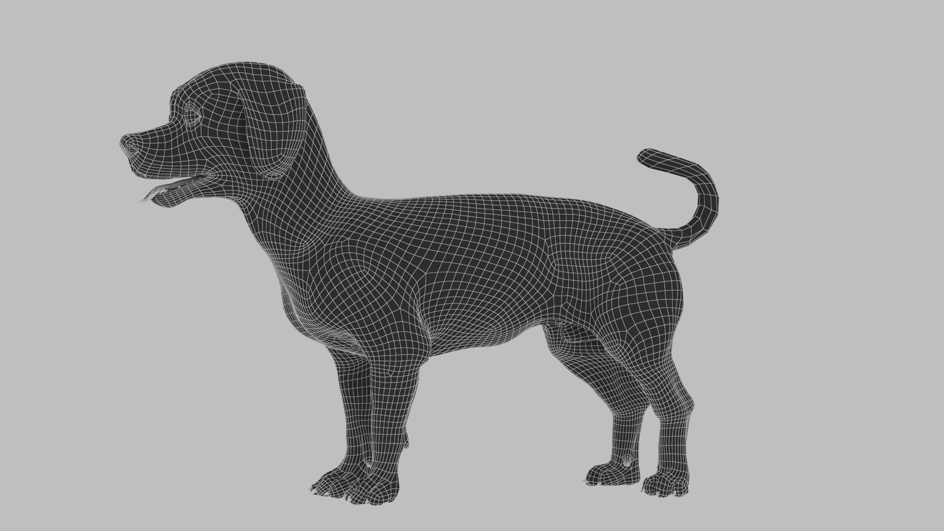 bichon animal mammal 3D model https://p.turbosquid.com/ts-thumb/0C/OwfidT/En/wire_0017/jpg/1612712638/1920x1080/fit_q87/c5b3c2fdf8f7958263f8244aa1e0d8e2a49df699/wire_0017.jpg