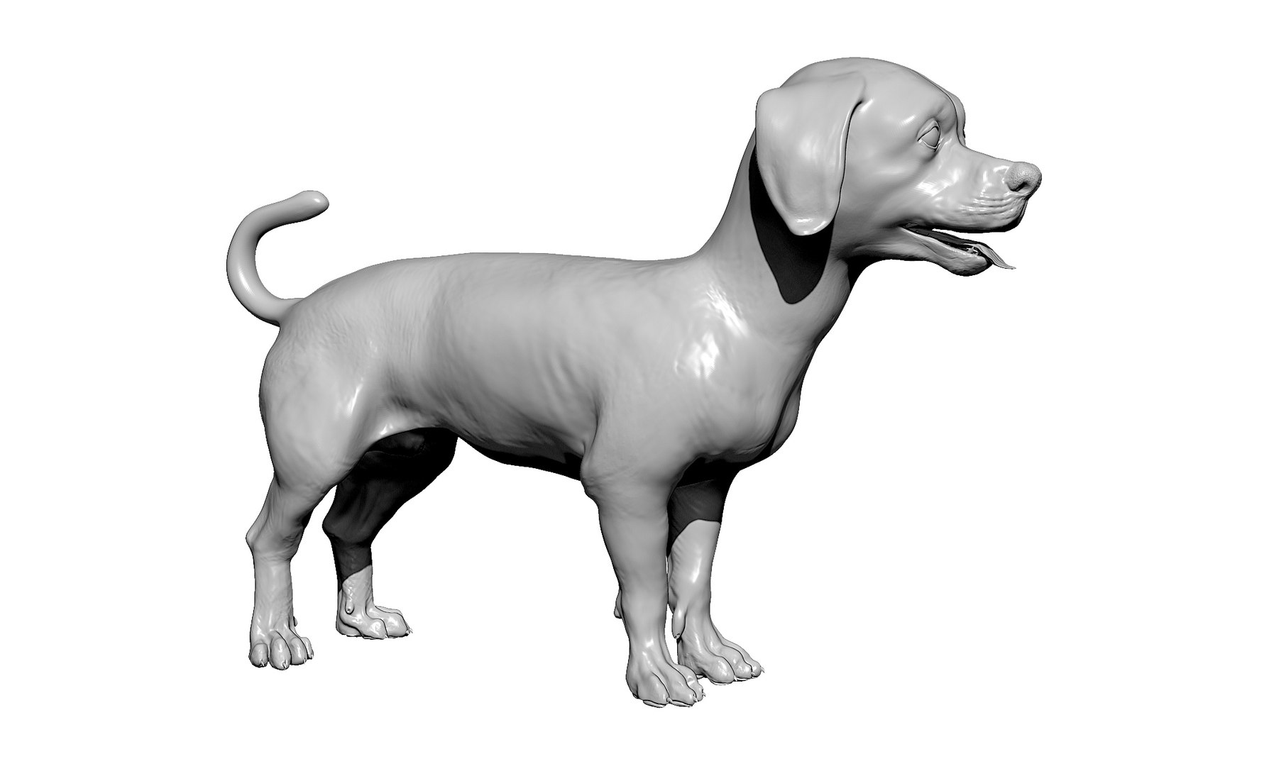 bichon animal mammal 3D model https://p.turbosquid.com/ts-thumb/0C/OwfidT/Gk/bpr_render1/jpg/1612712691/1920x1080/fit_q87/2d9cf647af997fcb9cb3a6a641426b17ff14354e/bpr_render1.jpg