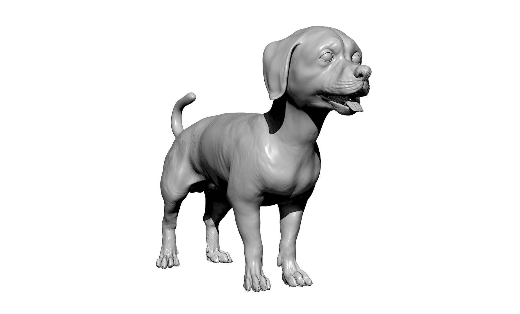 bichon animal mammal 3D model https://p.turbosquid.com/ts-thumb/0C/OwfidT/I6/bpr_render/jpg/1612712691/1920x1080/fit_q87/e4a1cd78403bf740fa5e610b38070f68db2dc6f3/bpr_render.jpg