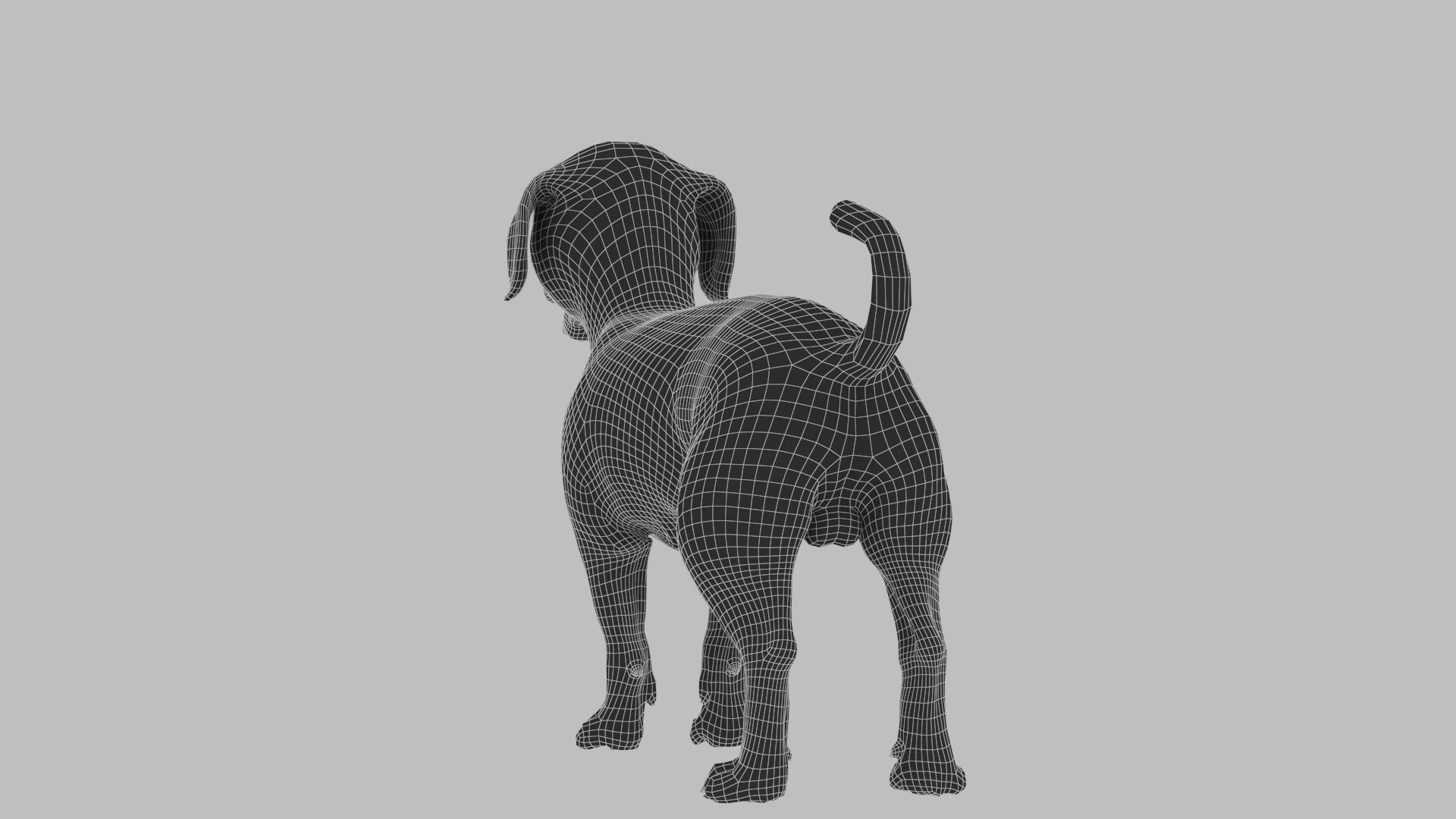 bichon animal mammal 3D model https://p.turbosquid.com/ts-thumb/0C/OwfidT/Ik/wire_0016/jpg/1612712638/1920x1080/fit_q87/597de2e90e5b109f4a994d05ba15f58b38b395ab/wire_0016.jpg