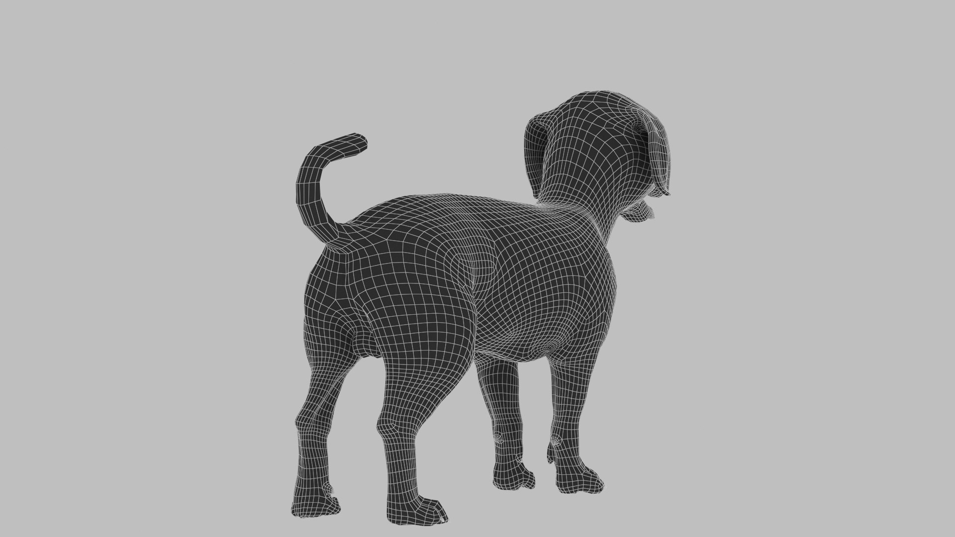 bichon animal mammal 3D model https://p.turbosquid.com/ts-thumb/0C/OwfidT/SI/wire_0012/jpg/1612712638/1920x1080/fit_q87/9996f1641a6f53f94cfbee21ac38f8790b62665c/wire_0012.jpg
