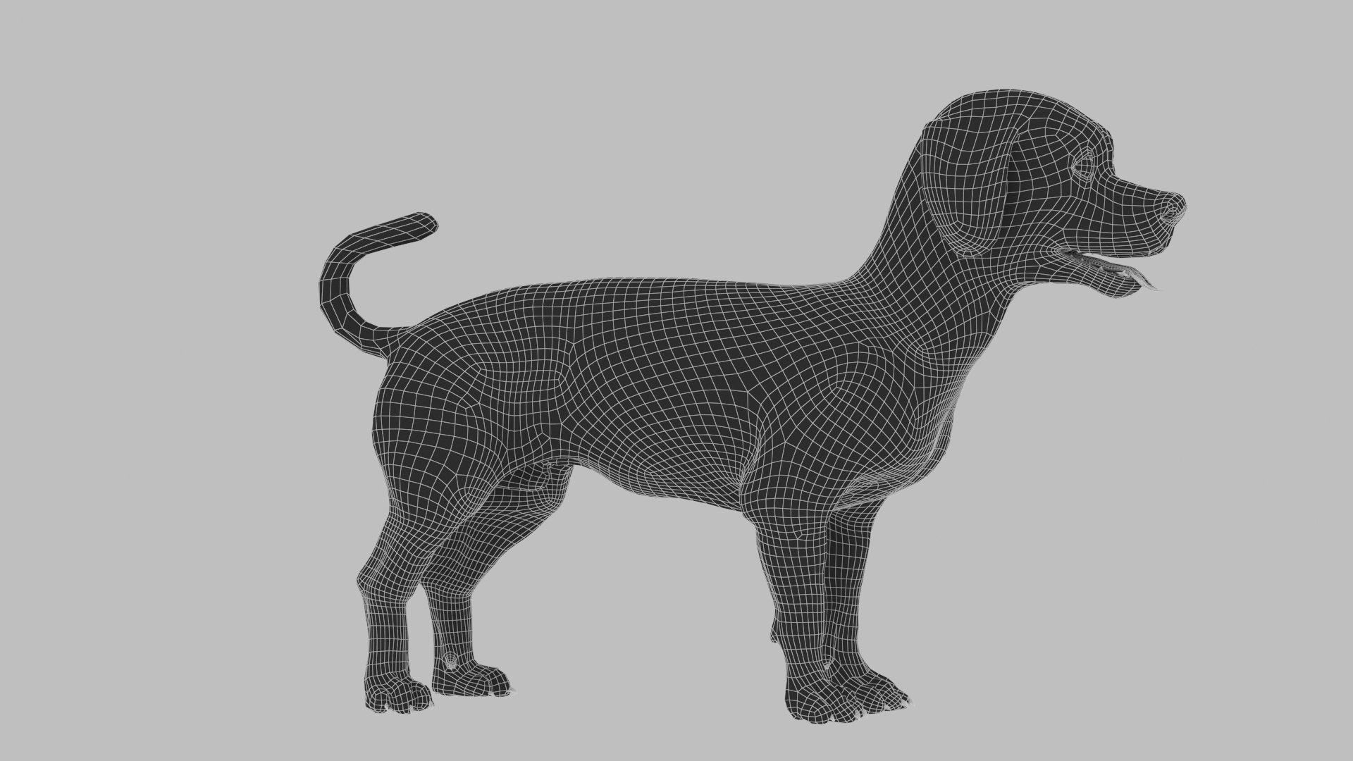 bichon animal mammal 3D model https://p.turbosquid.com/ts-thumb/0C/OwfidT/iS/wire_0006/jpg/1612712639/1920x1080/fit_q87/3ae9c580bc84614d483b251b54526983e28cf5b1/wire_0006.jpg