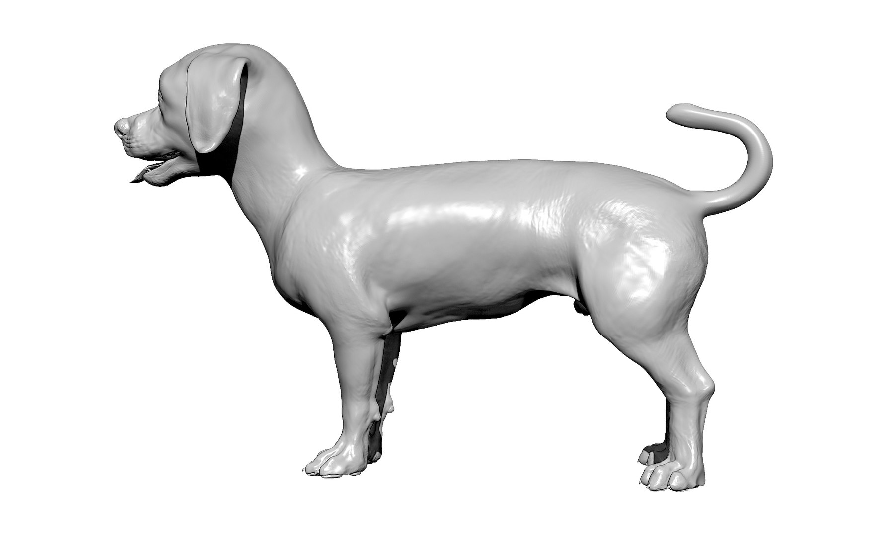 bichon animal mammal 3D model https://p.turbosquid.com/ts-thumb/0C/OwfidT/p5/bpr_render3/jpg/1612712691/1920x1080/fit_q87/af3d17833ccf24a7a31226510d4e38c54b3437eb/bpr_render3.jpg