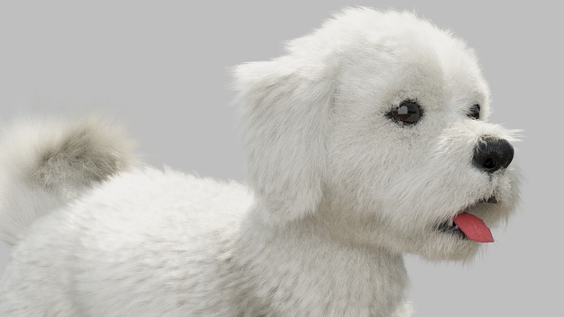 bichon animal mammal 3D model https://p.turbosquid.com/ts-thumb/0C/OwfidT/si/03/jpg/1612724002/1920x1080/fit_q87/e0285dc0b927c56b15af123784a4ec308b98ece2/03.jpg