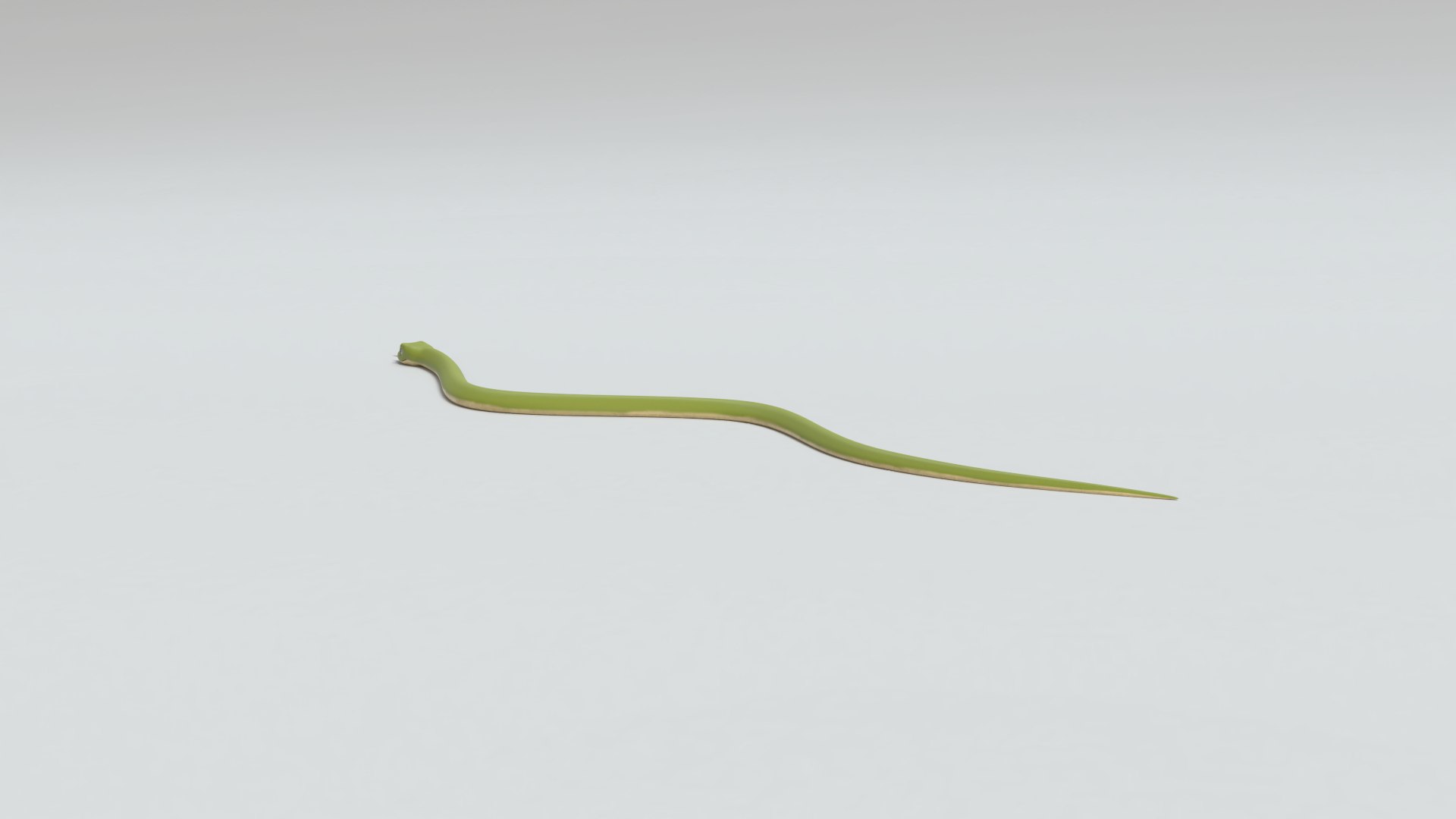 snake cartoon 3D https://p.turbosquid.com/ts-thumb/0C/YJ2g4B/ofAoR16I/snake_images0011/png/1582220374/1920x1080/fit_q87/8290e0bf83a261ca7cb0e6ce5d226045ec495709/snake_images0011.jpg