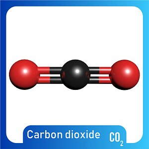 Carbon dioxide 3D Model CO2