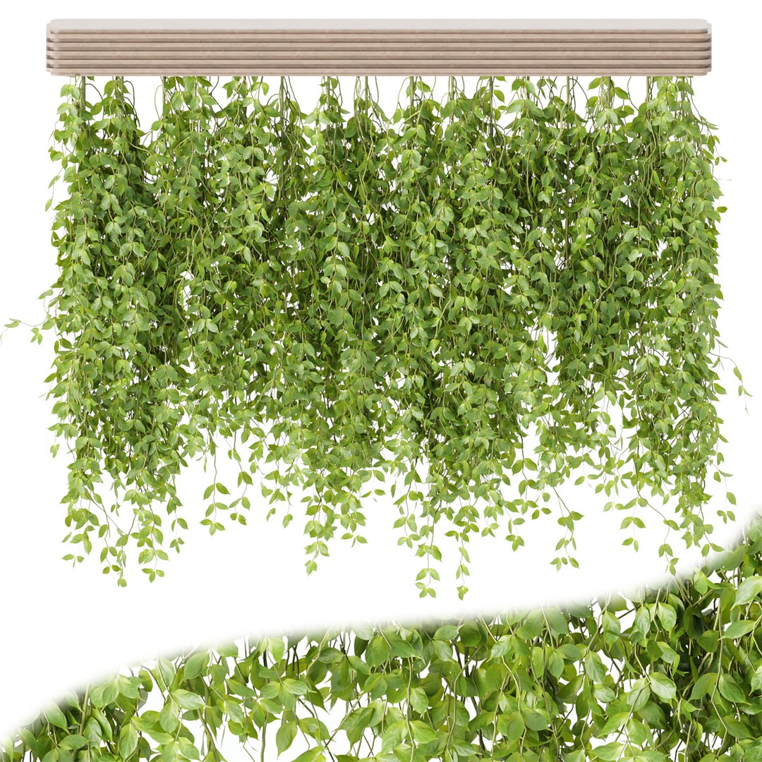Hanging plants for indoor vol 124 3D model https://p.turbosquid.com/ts-thumb/0C/cnOkNj/Uo/1/jpg/1666862588/1920x1080/fit_q87/67c15ef8e5c052cfb06bbee45052294a6c392100/1.jpg