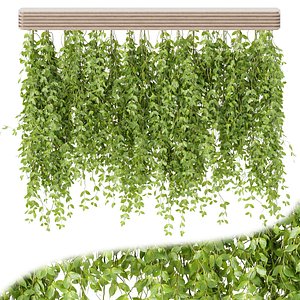 Hanging plants for indoor vol 124-3dmodel
